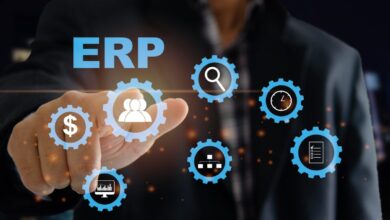 ERP services